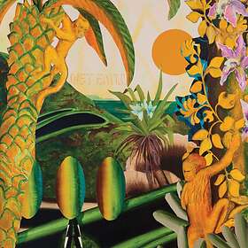 Wet Satin - Wet Satin LP