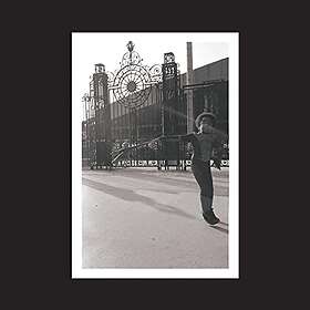 Irreversible Entanglements Open The Gates LP