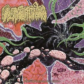 Universally Estranged Dimension Of Deviant Clusters LP