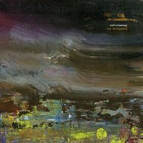 Roy Montgomery Audiotherapy LP