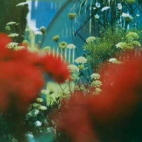 Pulled Apart By Horses The Haze LP