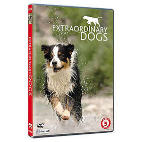 Extraordinary Dogs