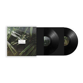 Pablo Bolivar & Sensual Physics Details Am Rande LP