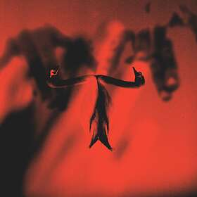 Mental Make Team Presents In alism LP