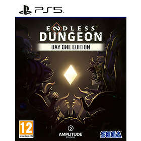 Endless Dungeon (PS5)