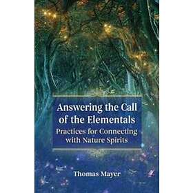Thomas Mayer: Answering the Call of Elementals