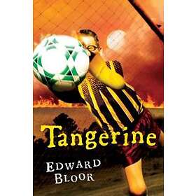 Edward Bloor: Tangerine
