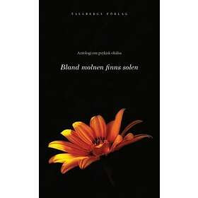 Håkan Lindgren: Bland molnen finns solen