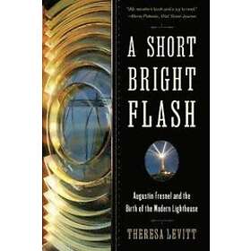 Theresa Levitt: A Short Bright Flash