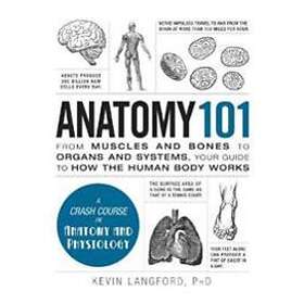 Kevin Langford: Anatomy 101