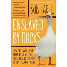 Tarte Bob Tarte: Enslaved By Ducks