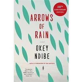 Okey Ndibe: Arrows Of Rain