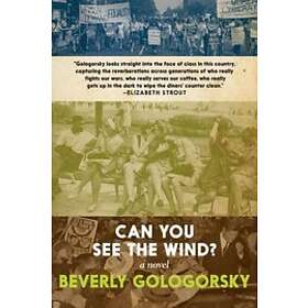 Beverly Gologorsky: Can You See The Wind?