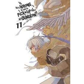 Fujino Omori, Suzuhito Yasuda: Is It Wrong to Try Pick Up Girls in a Dungeon?, Vol. 11 (light novel)