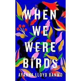 Ayanna Lloyd Banwo: When We Were Birds