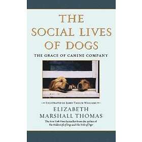 Marshall Thomas Elizabeth: Social Lives of Dogs