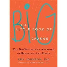 Amy Johnson: The Little Book of Big Change