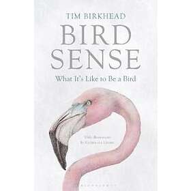 Tim Birkhead: Bird Sense