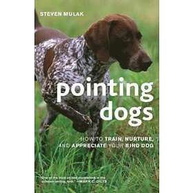 Steven Mulak: Pointing Dogs