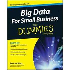 BB Marr: Big Data For Small Business Dummies