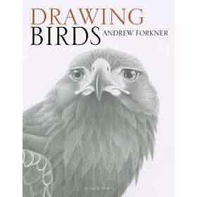 Andrew Forkner: Drawing Birds