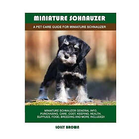Lolly Brown: Miniature Schnauzer