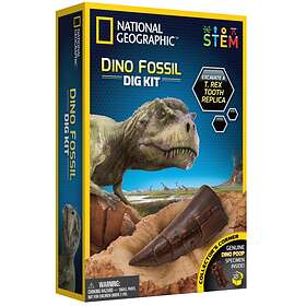 National Geographic: National Geographic Dino Fossil Dig Kit