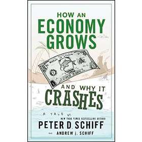 PD Schiff: How an Economy Grows and Why It Crashes