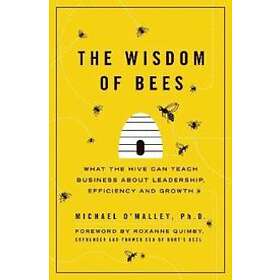 Michael O'Malley: The Wisdom of Bees