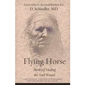 Donna Schindler: Flying Horse