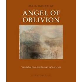 Maja Haderlap: Angel Of Oblivion