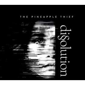 The Pineapple Thief Dissolution LP