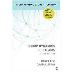 Daniel J Levi: Group Dynamics for Teams International Student Edition