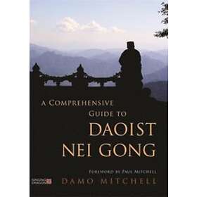 Damo Mitchell: A Comprehensive Guide to Daoist Nei Gong