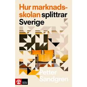 Petter Sandgren: Hur marknadsskolan splittrar Sverige