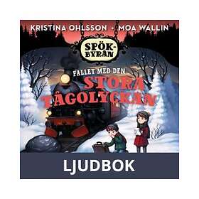 Fallet med den stora tågolyckan, Ljudbok