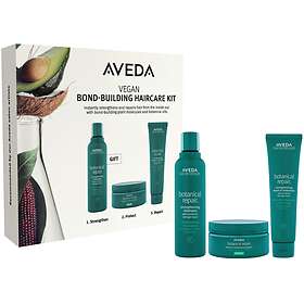 Aveda Botanical Repair Bond Building Haircare Kit