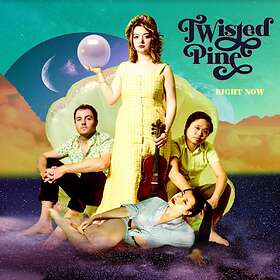 Twisted Pine - Right Now LP
