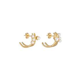CU Jewellery Pearl Kluster Ear Gold