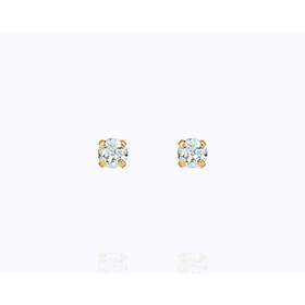 Caroline Svedbom Mini Stud Earrings Gold Light Azore