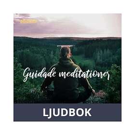 Bookea En paus för sinnet, Ljudbok