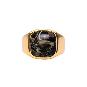 IX Studios Turtle Agate Signet Ring 22 kt. Forgyldt DMN0282GDTA-50 (ring) Unisex