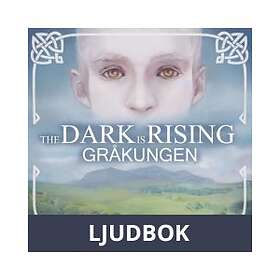 Storyside Gråkungen, Ljudbok