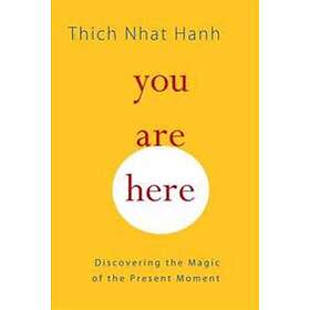 Thich Nhat Hanh, Melvin McLeod: You Are Here