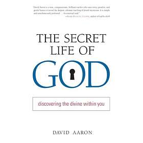 Rabbi David Aaron: Secret Life Of God