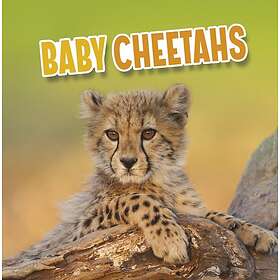 Baby Cheetahs
