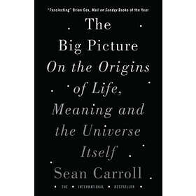 Sean Carroll: The Big Picture