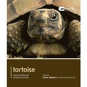 Lance Jepson: Tortoise Pet Expert