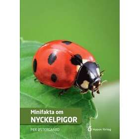 Per Østergaard: Minifakta om nyckelpigor