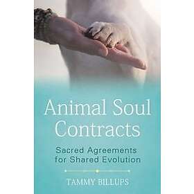 Tammy Billups: Animal Soul Contracts